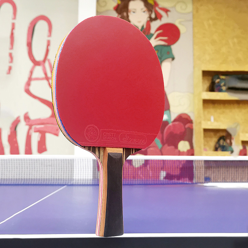 cnstt凯斯汀官方乒乓球拍正品旗舰店专业兵乓球拍耀世乒乓球成品拍