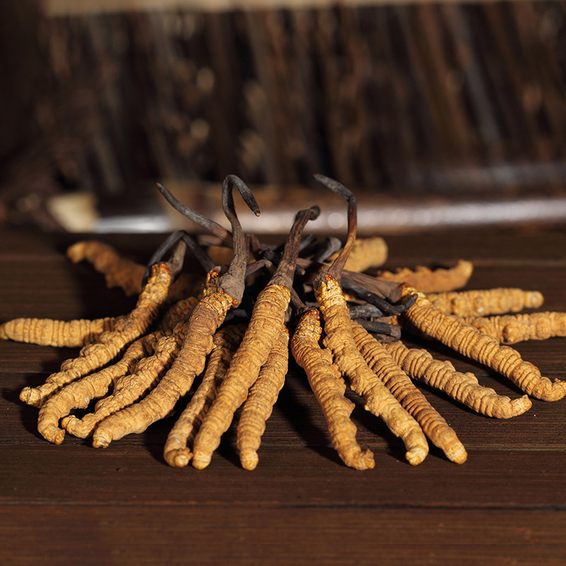 冬虫夏草 西藏那曲野生虫草 4条1克正品 无断草礼盒