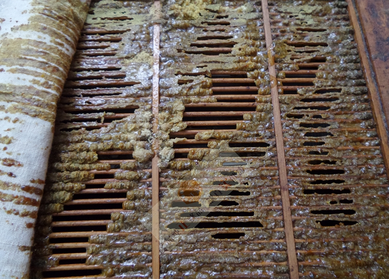 生态蜂农自产自销纯正蜂胶木框采集天然野生蜂胶毛胶无重金属