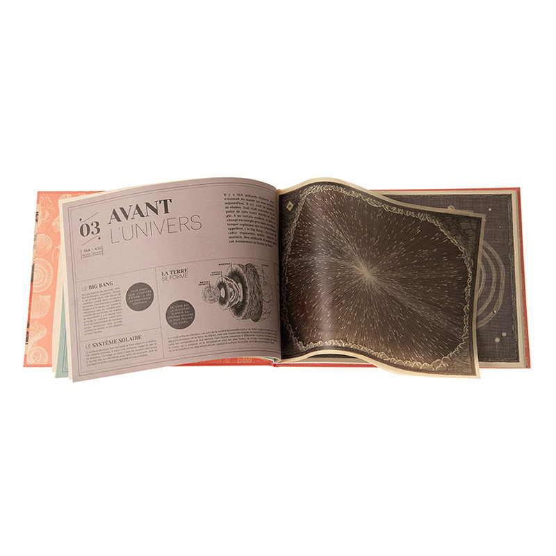 地球de艺术法文少儿启蒙环保保护地保护terre儿童读物原版书