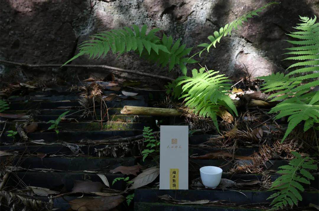 天心禅茶顽石点头品鉴16g泡装大红袍