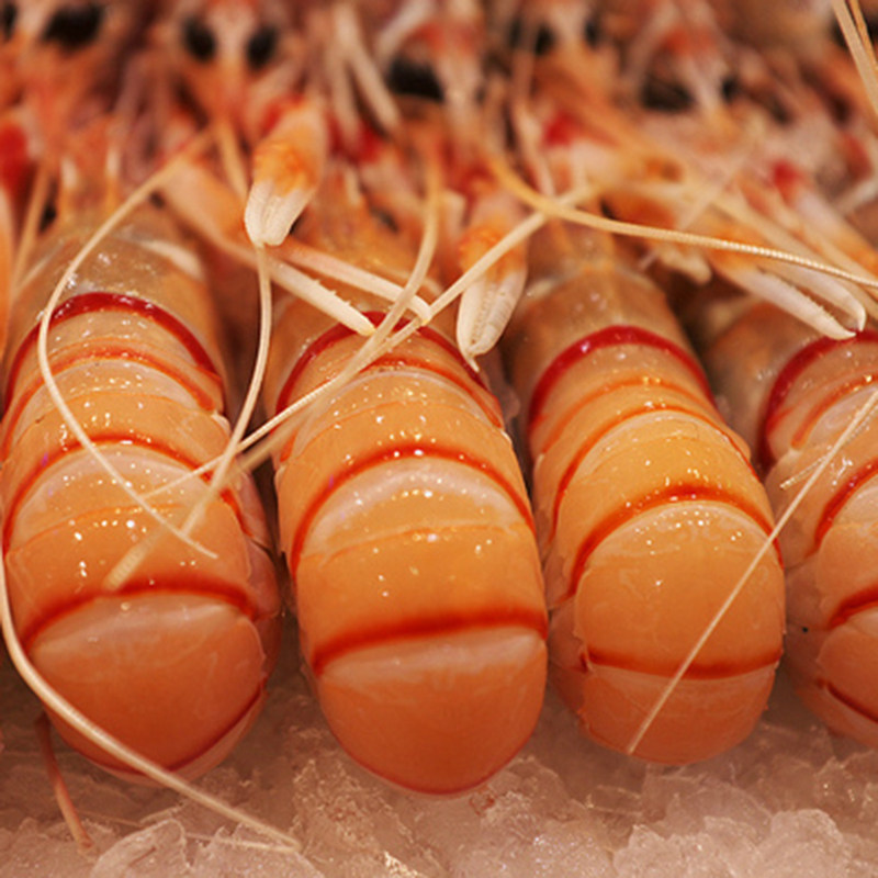 深海南极鳌虾刺身 斯干比scampi海鲜 2kg 2号 1kg 新西兰进口鳌虾