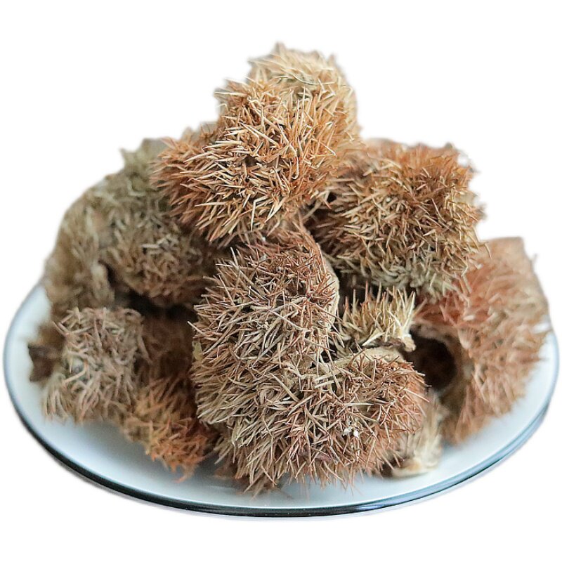 栗毛球中药材供应500克栗毛壳 板栗外壳 栗刺壳 板栗壳斗 风栗壳 - 爱