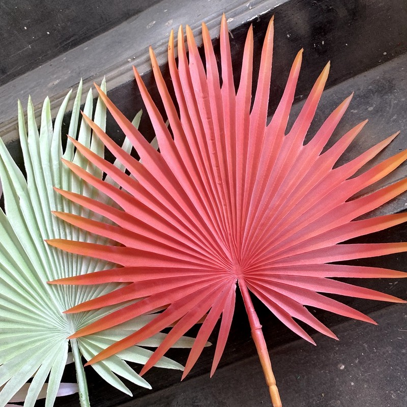 叶子新款扇形仿真棕榈棕榈树树叶葵叶舞台拍摄仿真绿植