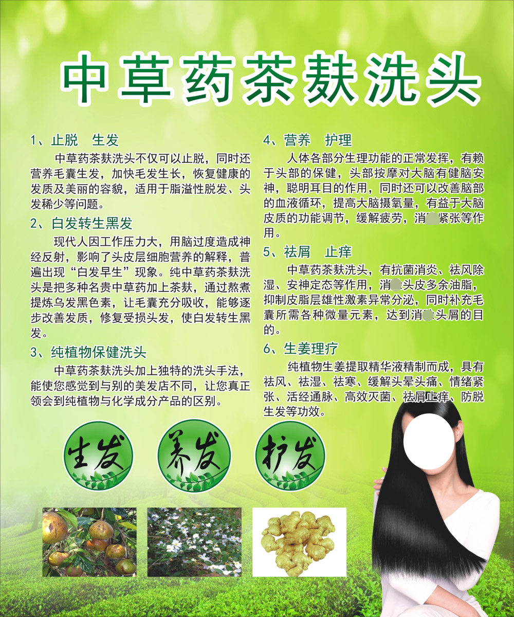 中医养生中草药茶麸洗头好处功效作用贴图1528海报写真