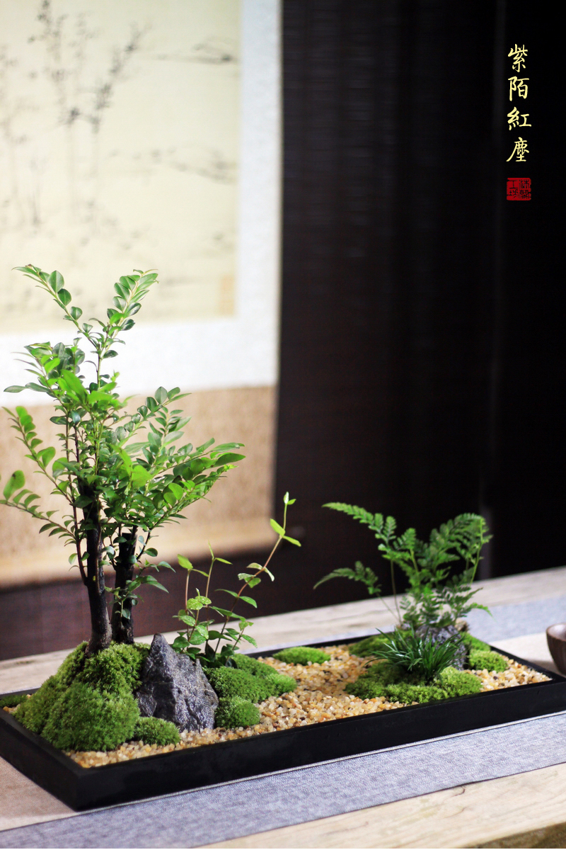 小叶紫檀中式山水盆景组合盆栽茶桌苔藓景观造型盆景