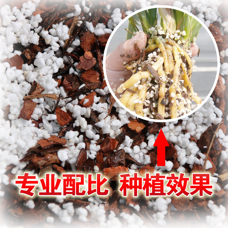 兰花专用兰科植物君子兰蝴蝶兰铁皮石斛营养盆栽家庭园艺肥料