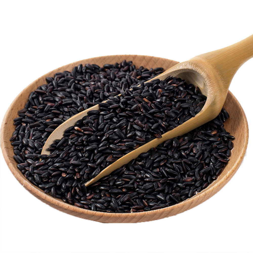 黑米新米东北5斤农家自种五谷杂粮饭团米粥粗粮黑米