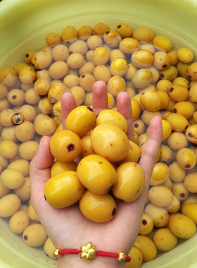 湖南野生泥去皮去核南酸枣果新鲜