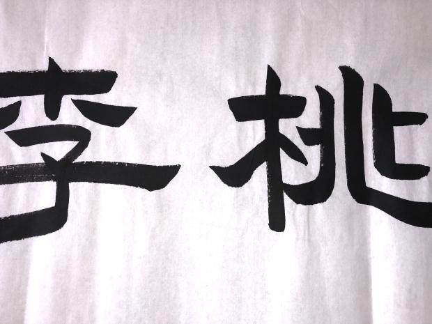 书法桃李春风手写中国毛笔国画字画隶书客厅办公室书法