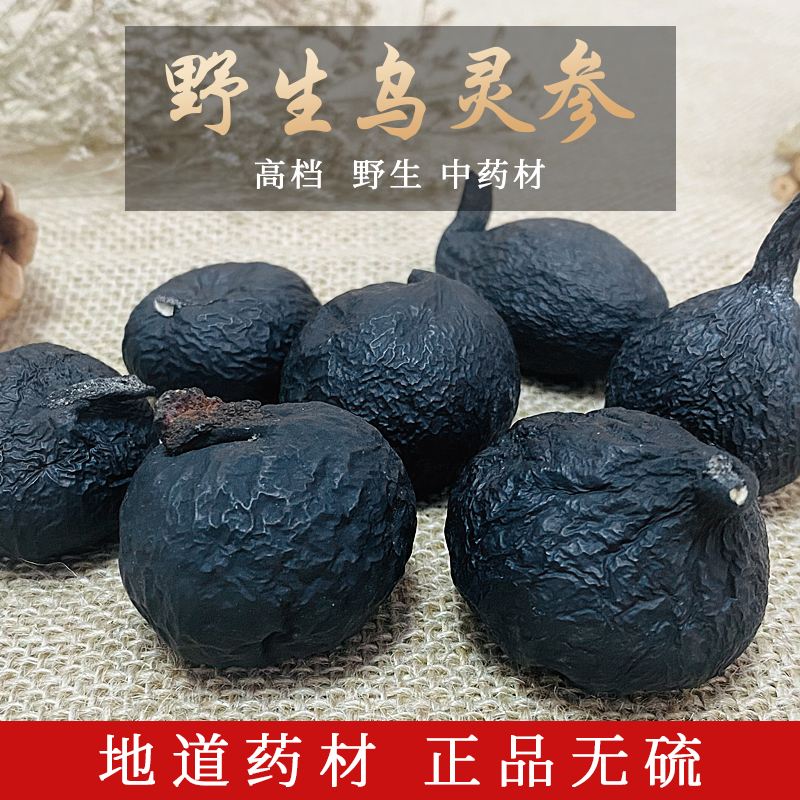 乌灵参的功效与作用,乌灵参怎么吃效果最好? | 天猪小哥