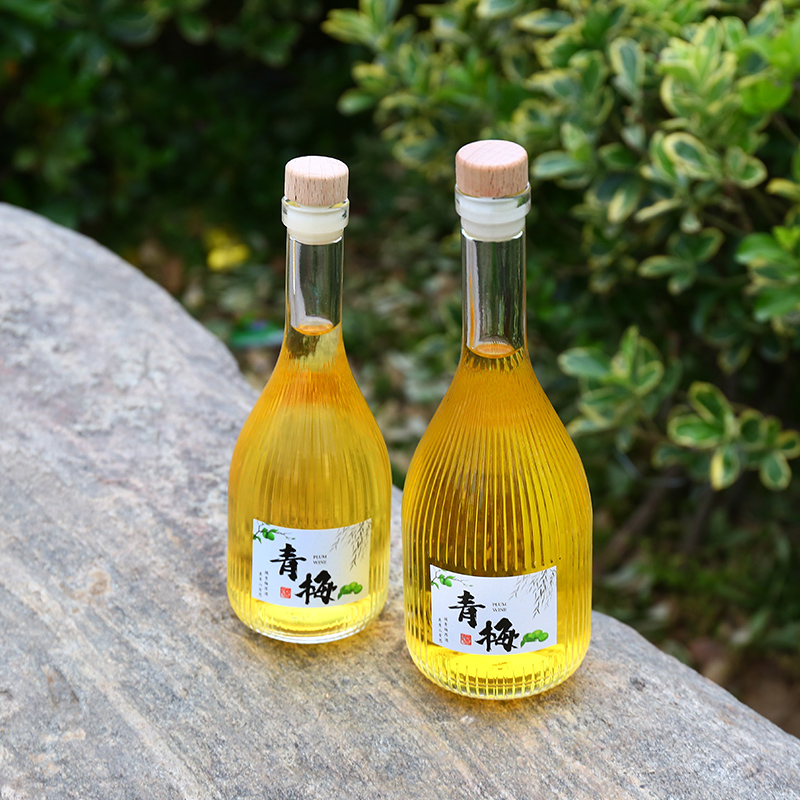 酒瓶青梅空瓶装玻璃定制一斤密封罐子果酒专用密封罐