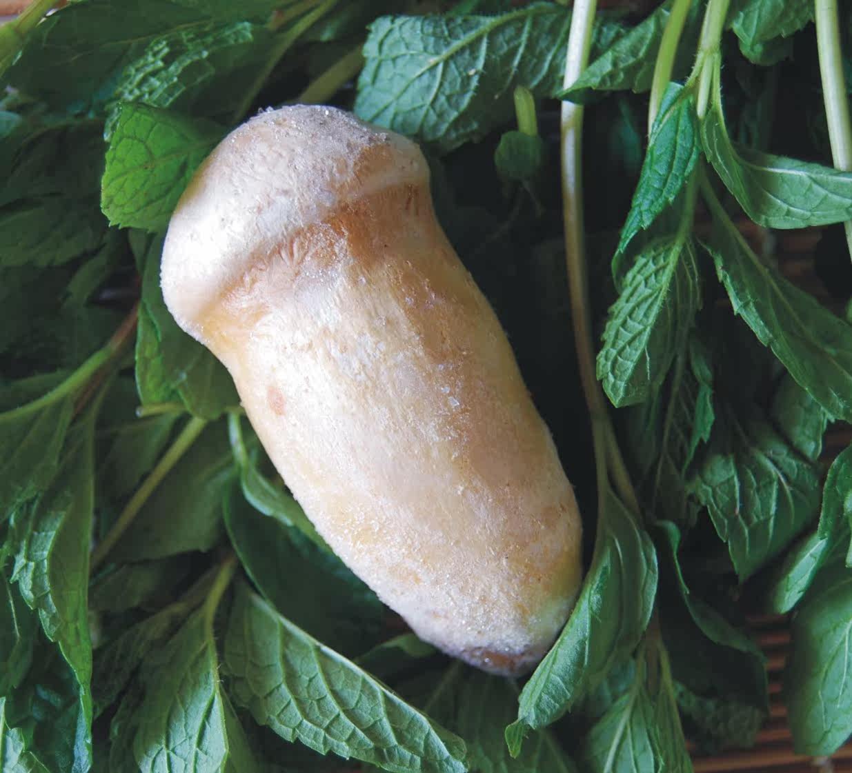 2斤包邮云南速冻松茸35cm出口野生蘑菇超低价松茸