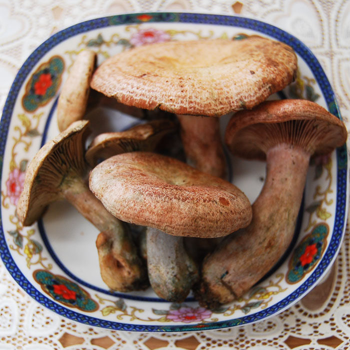 2斤速冻铜绿山珍美味云南食用菌蘑菇低价配送香菇类