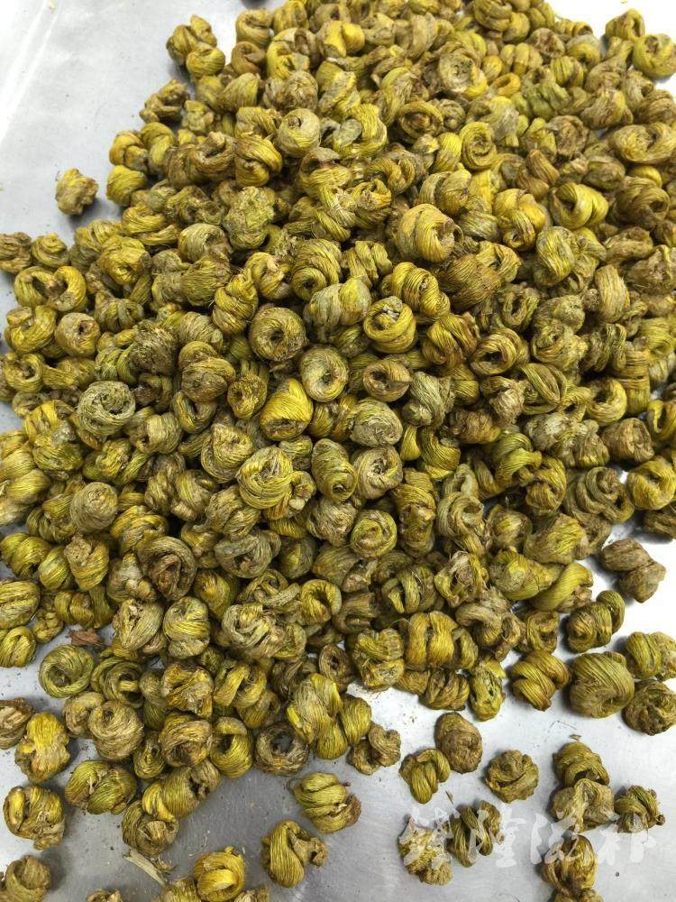 枫斗石斛正宗野生霍山铁皮鲜条加工工有胶质石斛