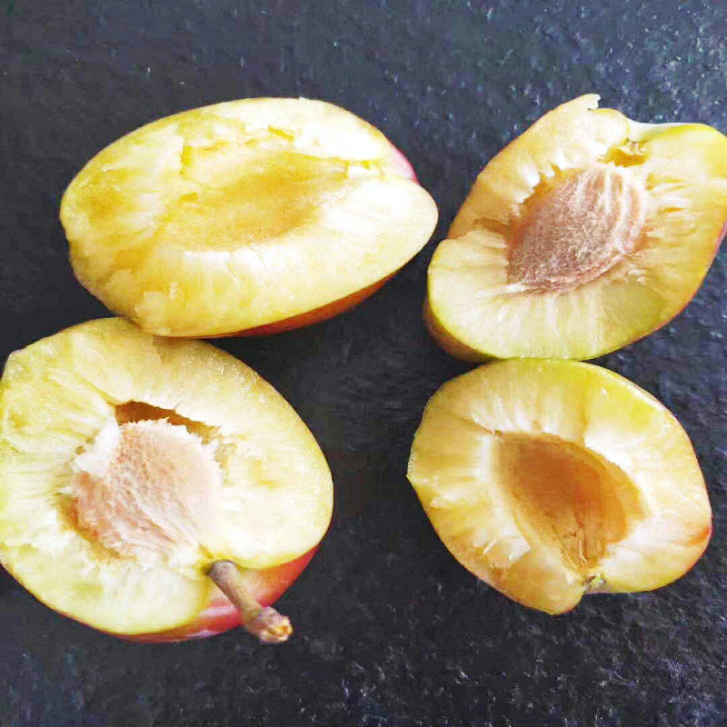 李子干核东北大红红袍干碗当季水果5斤装多省李子