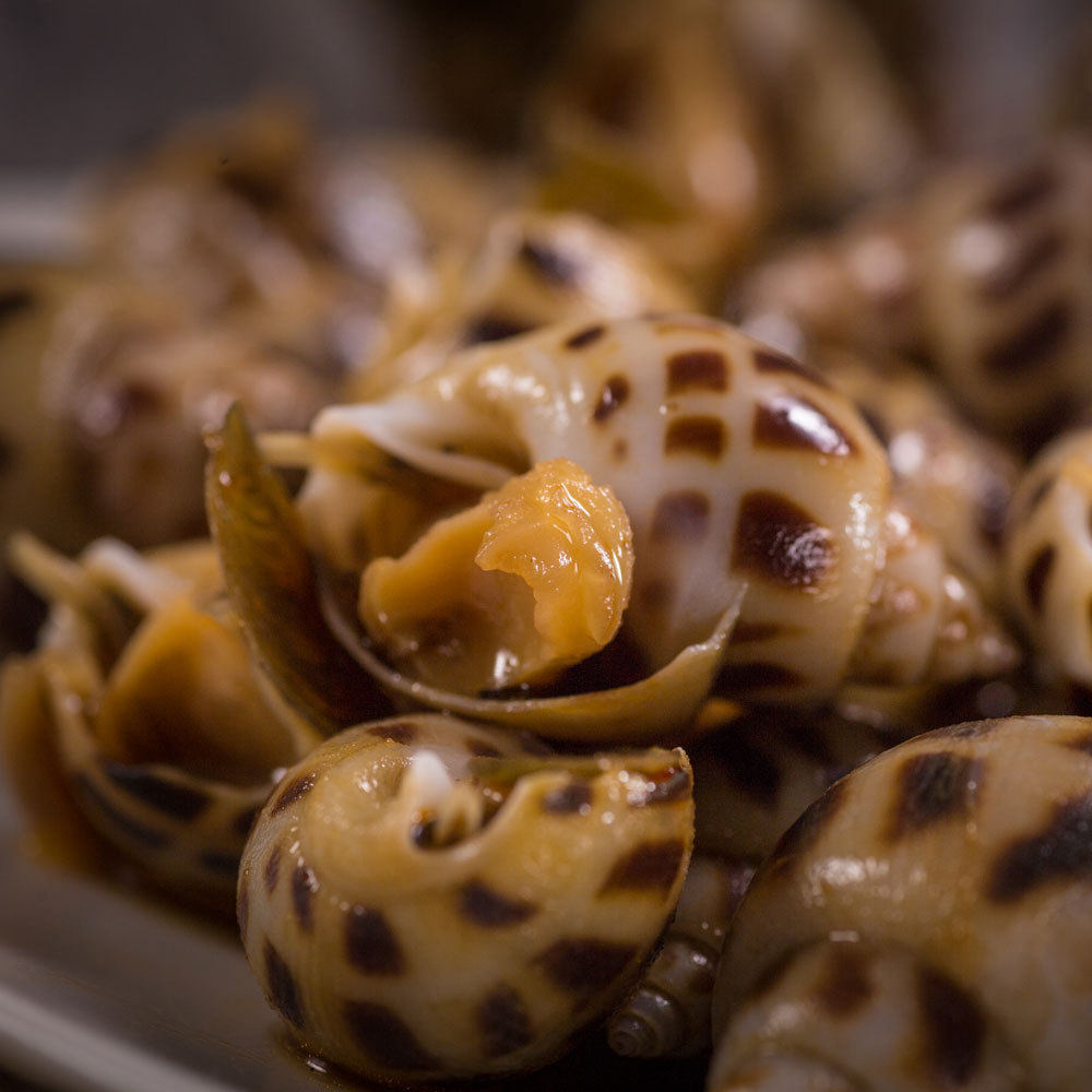 500g鲜活花螺现做(可做蒜蓉或辣蒜蓉,两种口味需备注!)