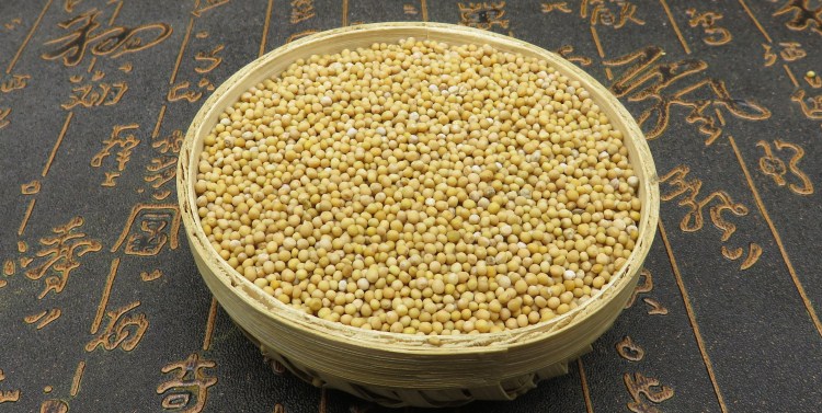 中药材 白芥子 500克