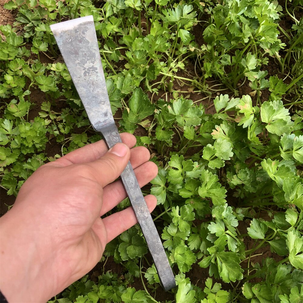 王氏作坊菜铲菜园花园种菜除草种花移苗挖野菜小铲子铁匠手工锻打