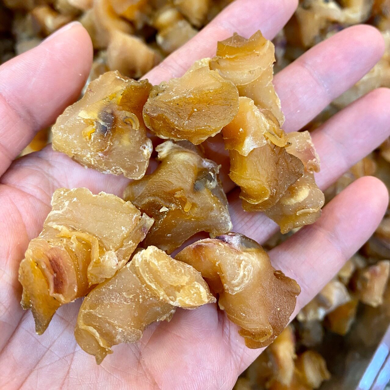 食材特选红螺头海螺肉干酒店水产干货海产品煲汤海螺