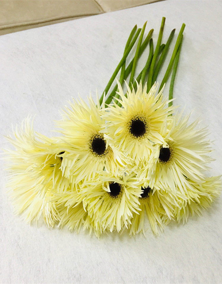 助农云南直发新品拉丝扶郎非洲非洲菊菊家用水鲜花速递(同城)