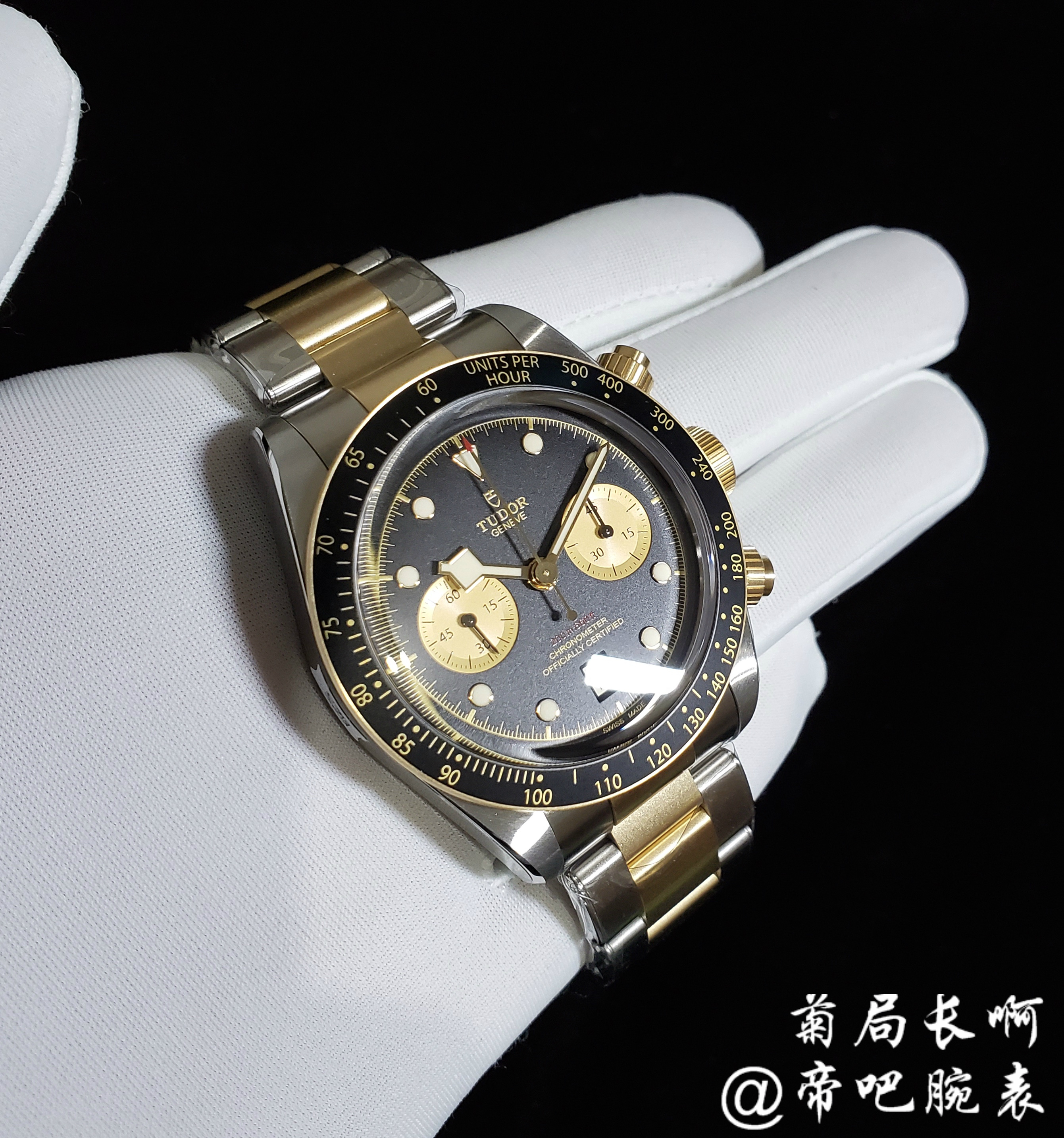 【菊局长】Tudor 帝舵启承 79363 41mm机械表
