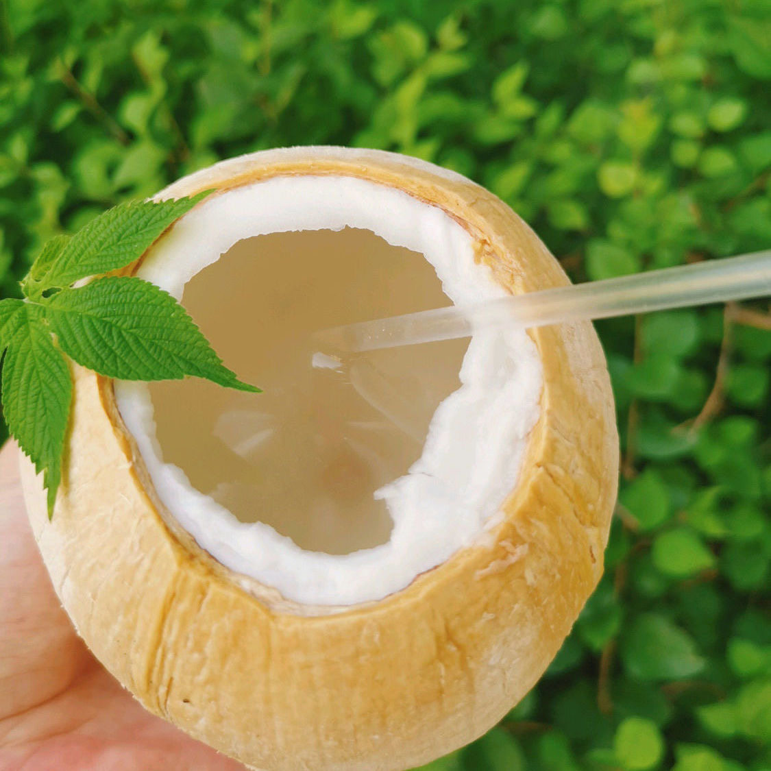 椰子泰国椰皇香水椰青王小奶香新鲜椰汁小香椰青