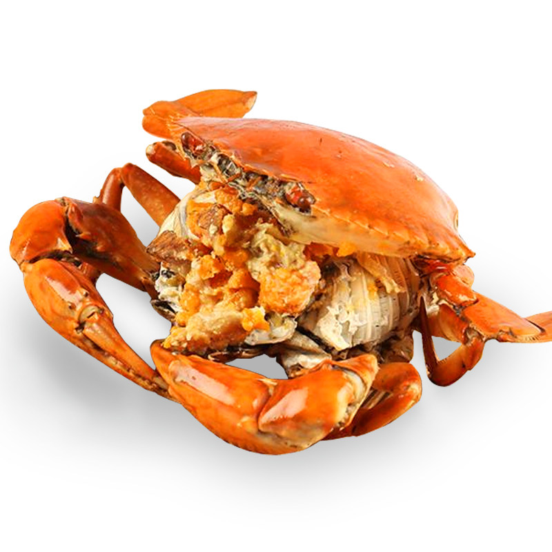 红鲟野生蟹青鲜活特大母蟹超大福建膏蟹锯缘青蟹