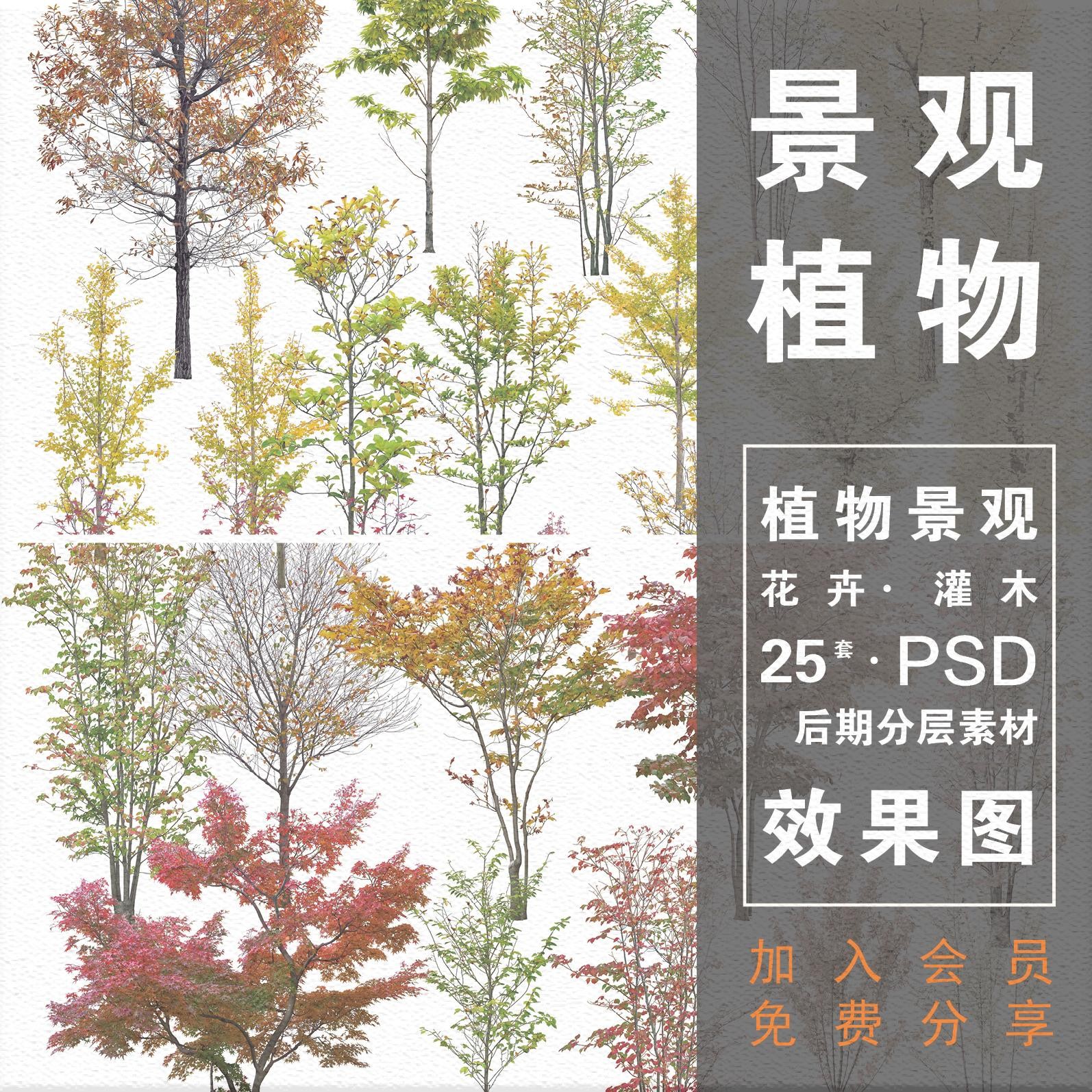 园林景观植物psd花丛乔木灌木花卉岩石立面效果图设计素材
