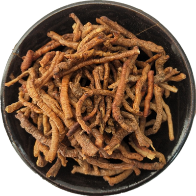 中药材炙远志干250g45制远志肉蜜炙远志抽芯蜜远其他药食同源食品功效