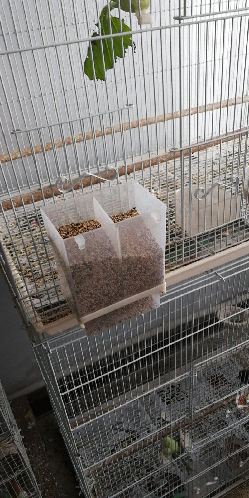 用品鹦鹉丝雀玉鸟自动喂食器下料器防溅撒洒喂食器