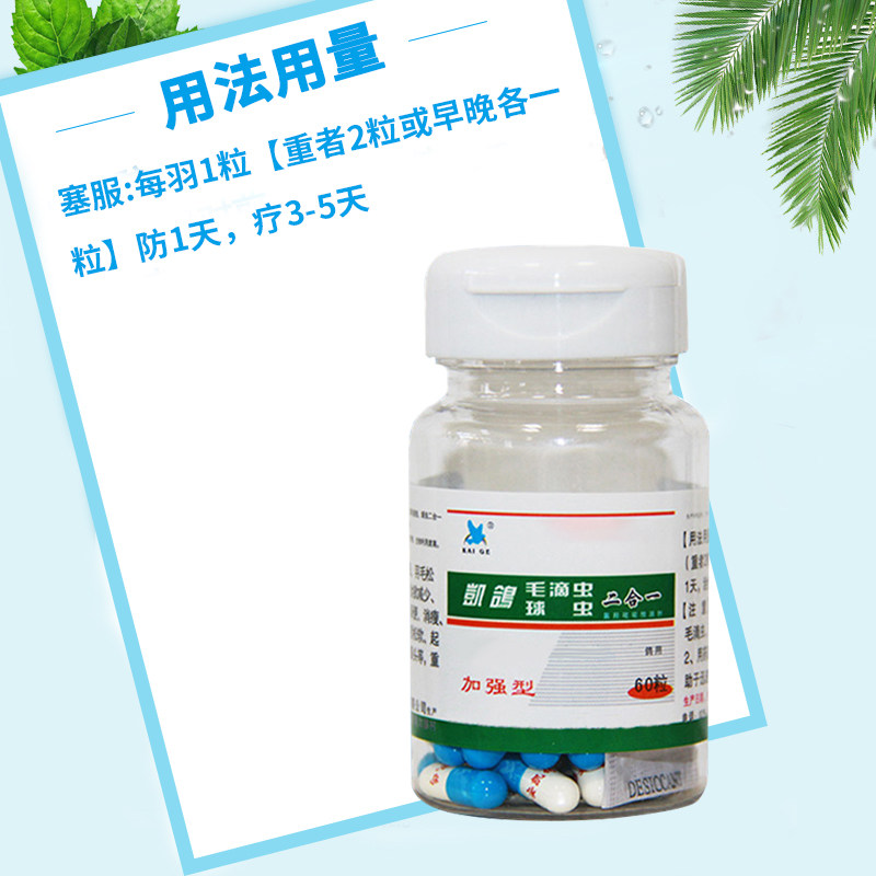 鸽药鸽子大全凯鸽毛滴虫球虫二合一信鸽药毛60粒医疗用品