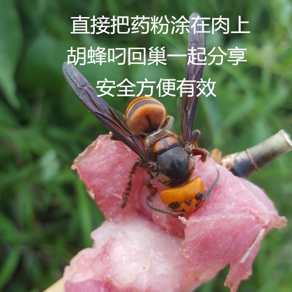胡蜂药胡蜂灭诱杀马蜂胡蜂克星胡蜂毁巢灵灭杀蜜蜂药快速有效方便