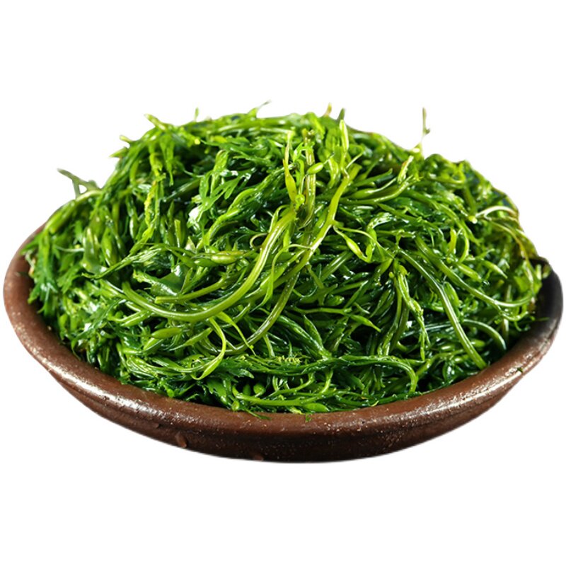 菜海盐渍马尾海藻鞭炮长寿苣藻羊栖带头裙带海带