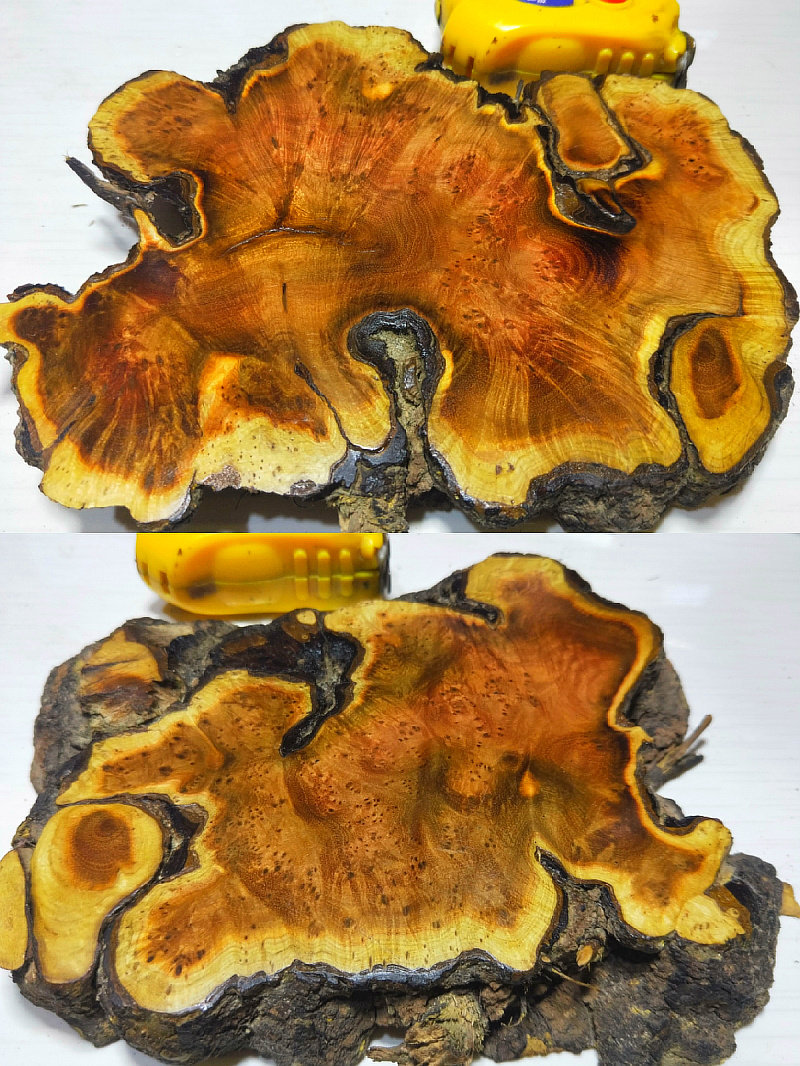 麻利疙瘩原料手串根瘤木头底座实木底座树瘤木原木片摆件手把件料