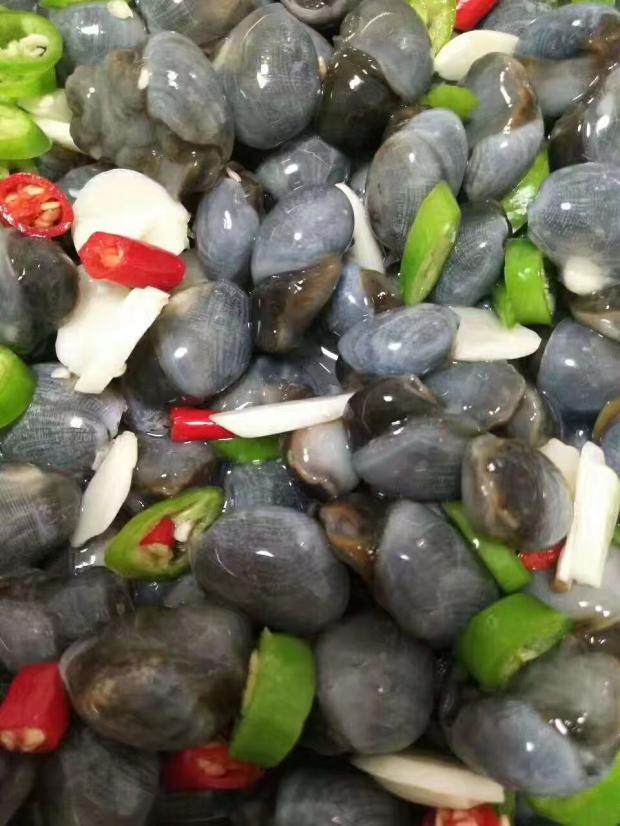 泥螺大连庄河新鲜野生大泥溜子即食盐卤含汤泥螺