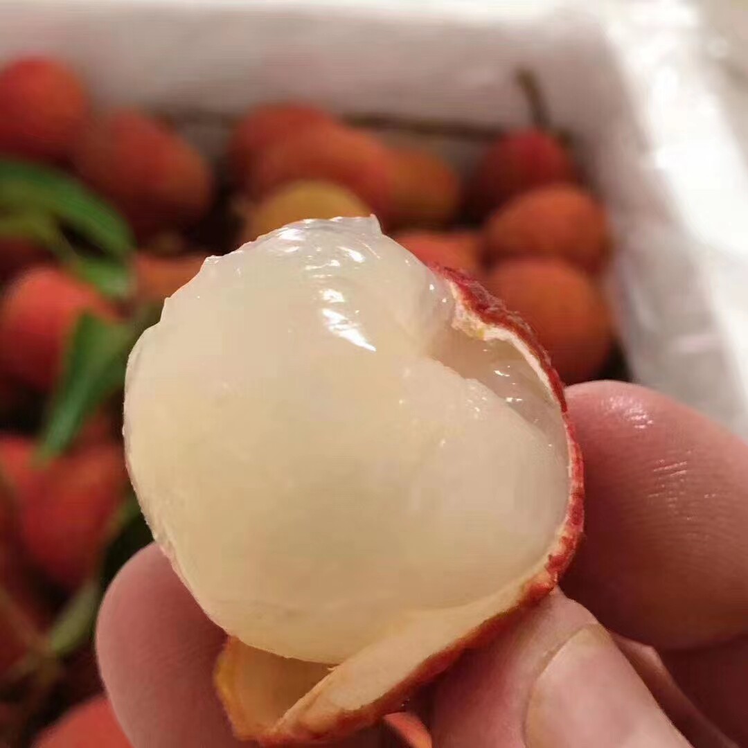 荔枝妹妹白糖3斤5斤甜度高核小多汁广东惠州荔枝