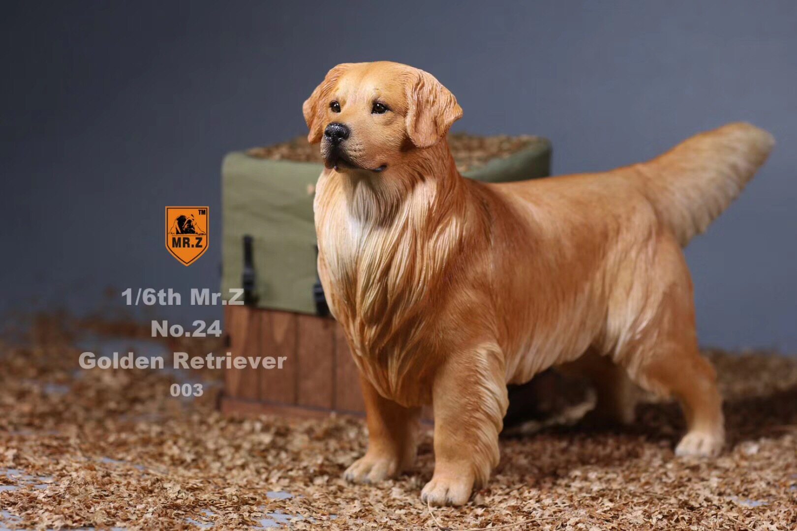 金毛模型现货mrz巡回仿真宠物宠物狗狗狗摆件潮玩盲盒