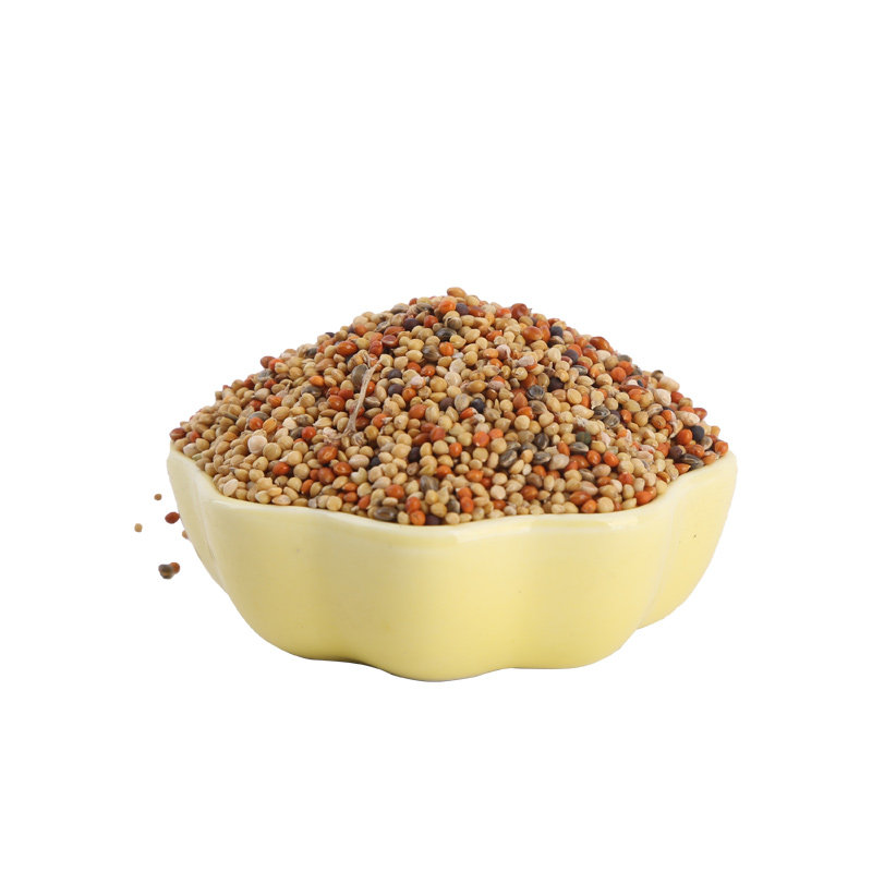 谷子混合包邮五斤带粮食多种油菜籽鸟粮鸟食食料鸟食