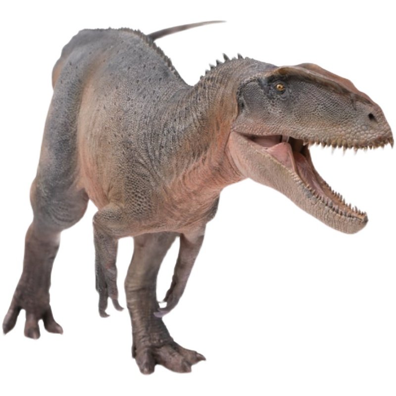 pnso恐龙大王中华盗龙新川成长陪伴模型仿真仿真