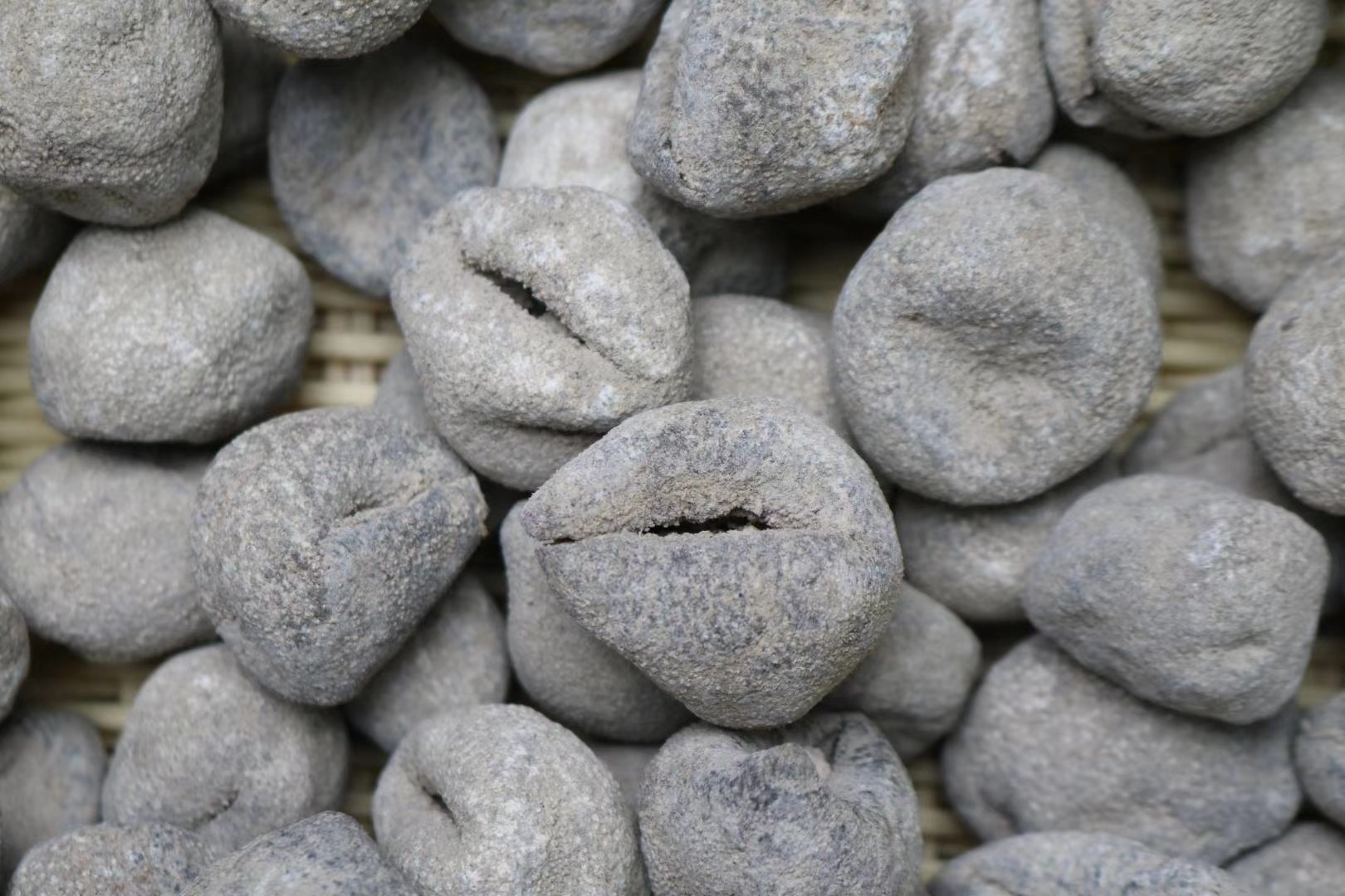 正品深海野生海参越南球参50头干品