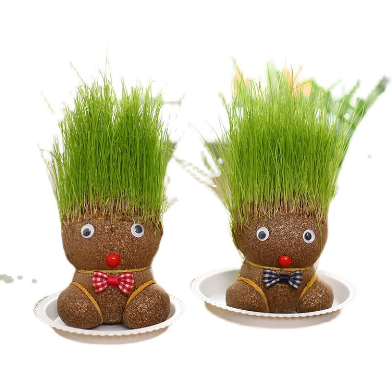 创意长草草头娃娃迷你植物盆栽室内阳台抖音绿植