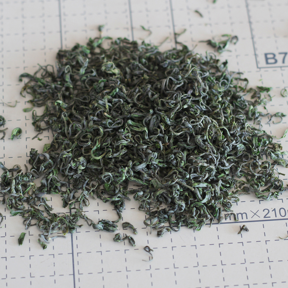 崂轩2022原味新崂山绿茶叶春茶青岛特产高山其它绿茶