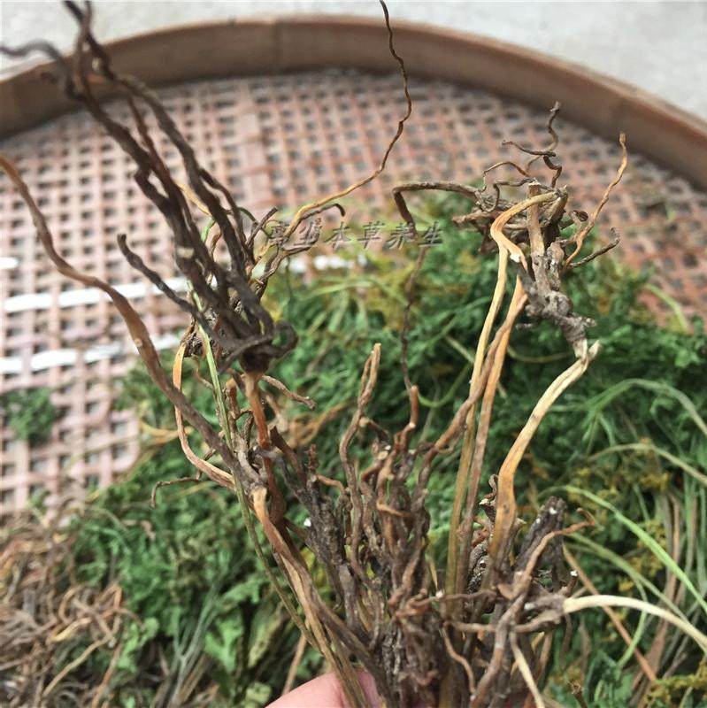 2021中药材小春春花野生阴地不见一朵云独脚金鸡其他药食同源食品