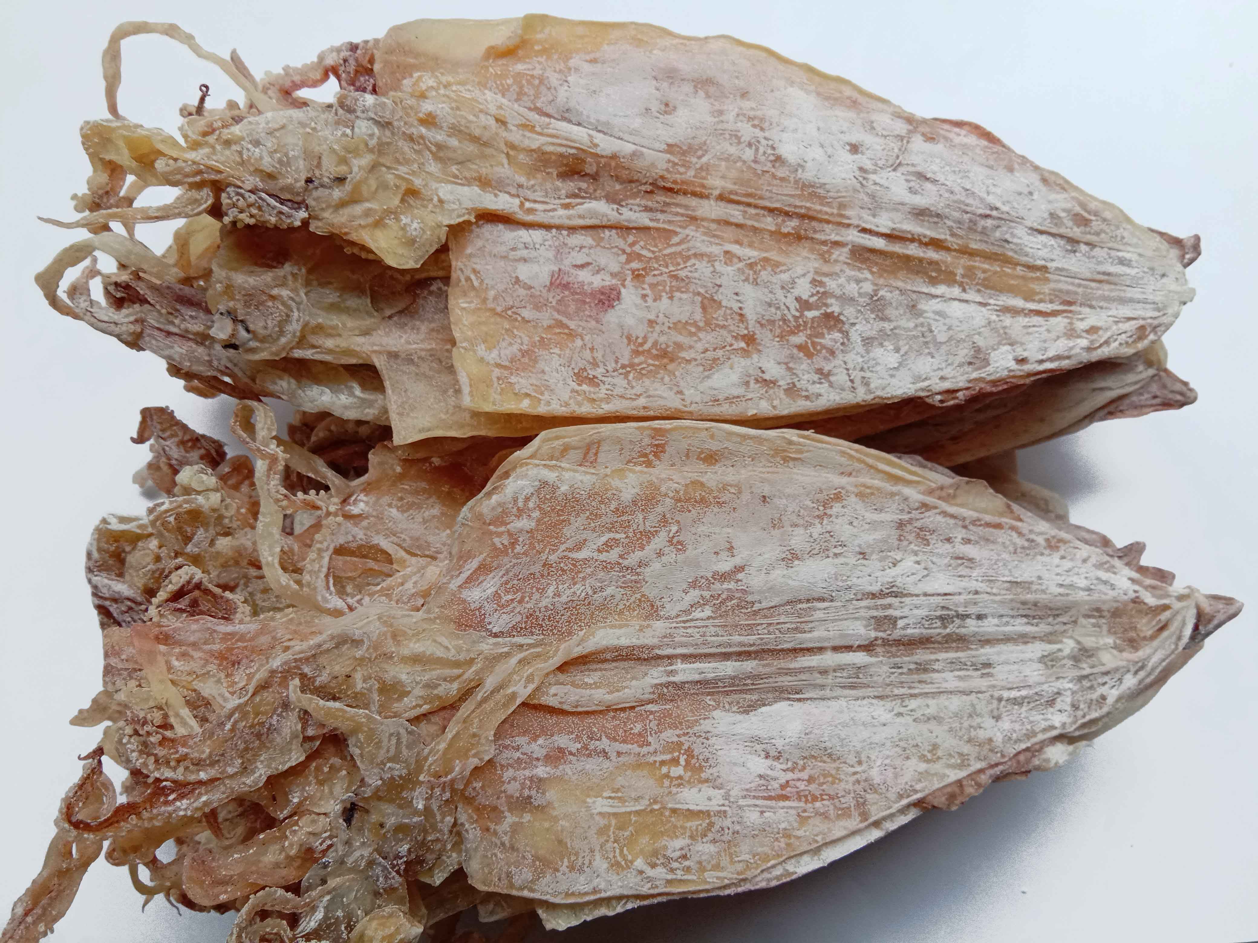 鱿鱼北海特产烧烤a1500g天然北部湾鱿鱼干