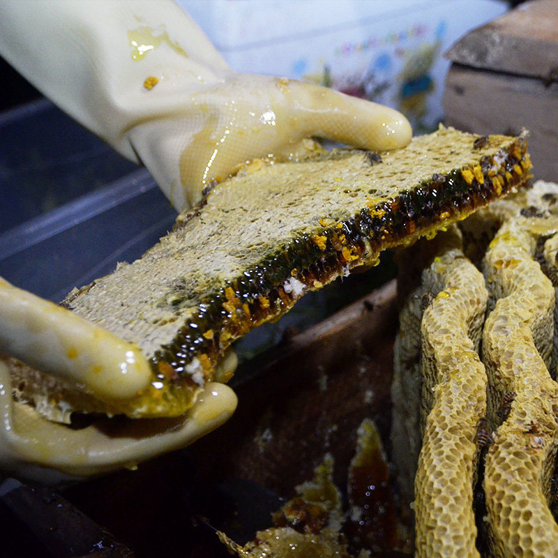 2018新货天然农家自产蜂巢蜜嚼着吃盒装野生百花土蜂蜜买3斤送1斤