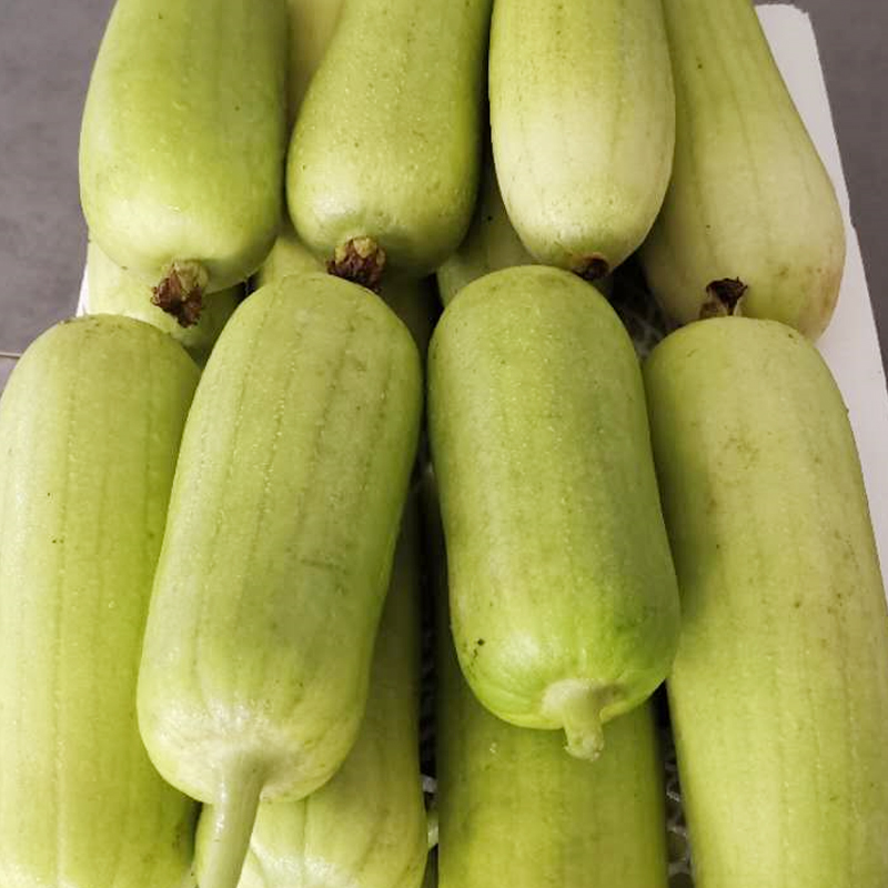 丝瓜白丝瓜新鲜白玉牛奶绿色蔬菜菜馆食材15斤其它