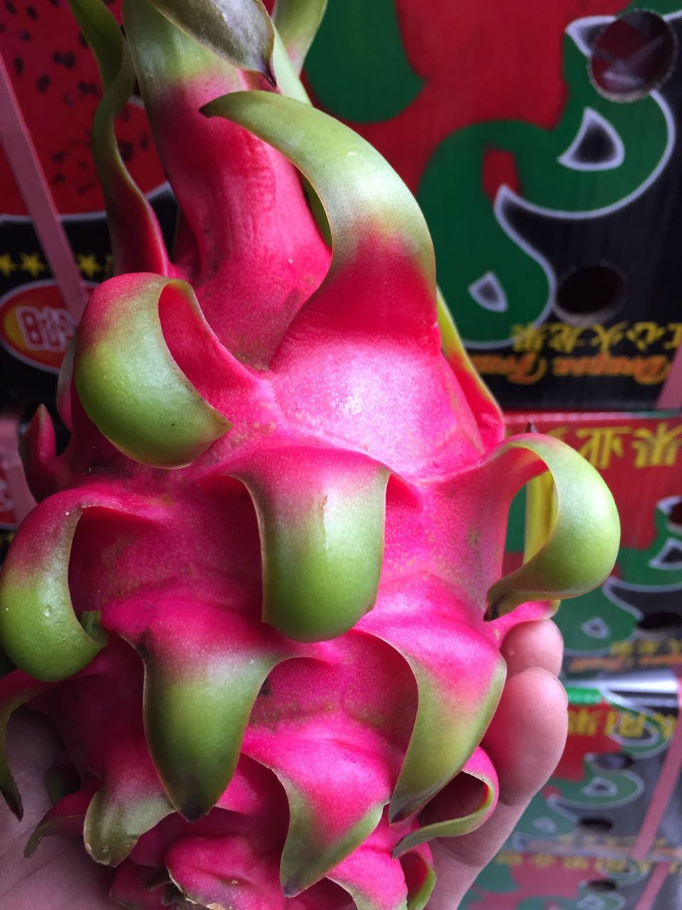 正宗越南红心火龙果新鲜大果3-4个装约5斤红肉火龙果孕妇水果包邮