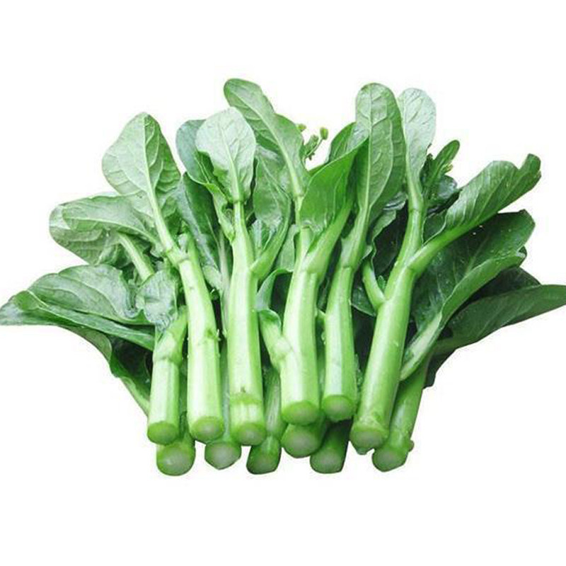 特色香港油青粗条广良矮脚菜心种子春季秋冬季家庭园艺种子