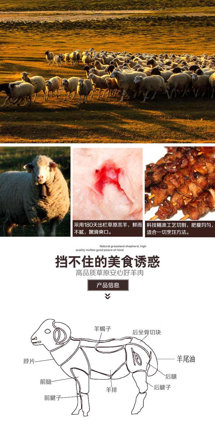 清真食品现宰现卖新鲜大尾巴绵羊羊尾油烧烤火锅膻味大羊肥肉500g